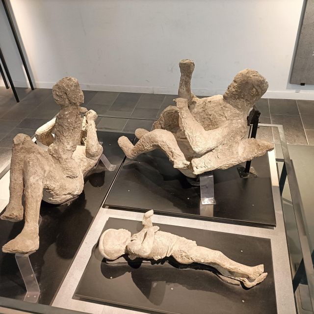 Pompeii Herculaneum and Oplontis With the Guide From Naples - Key Points