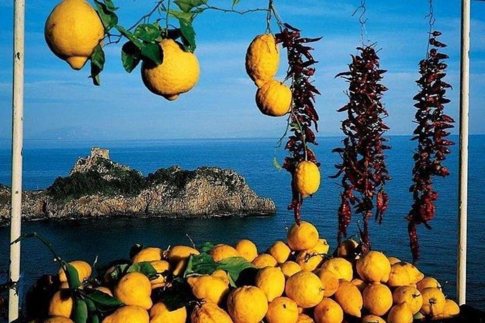 Pompeii, Herculaneum and Sorrento Private Day Tour From Rome - Inclusions