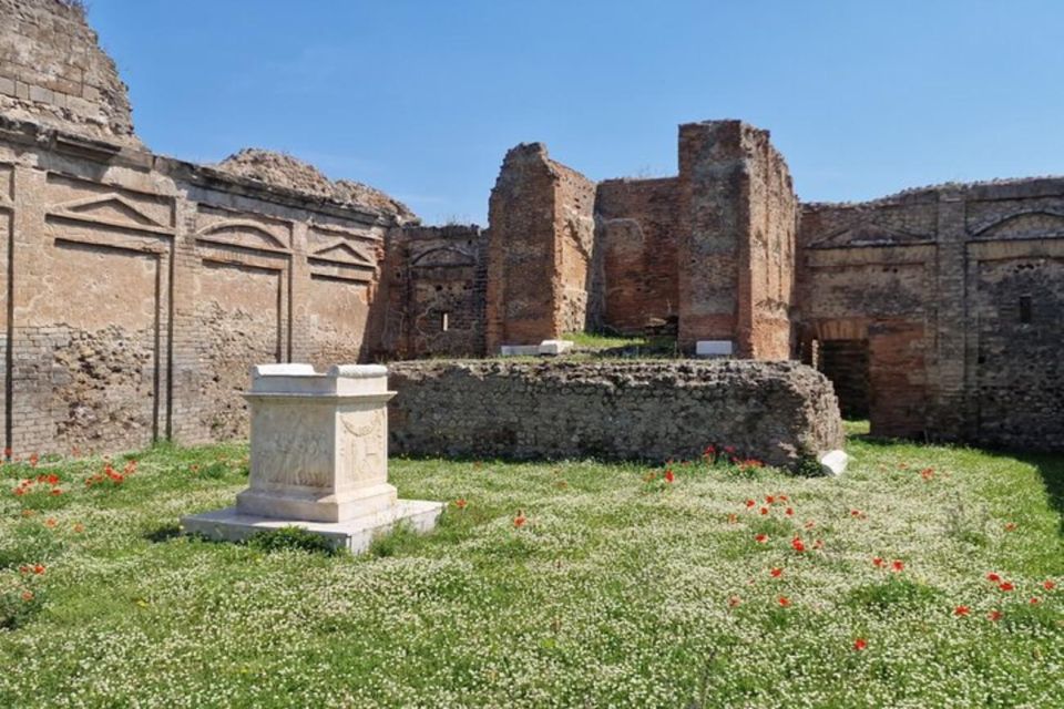 Pompeii, Herculaneum and Sorrento Private Day Tour From Rome - Background Information