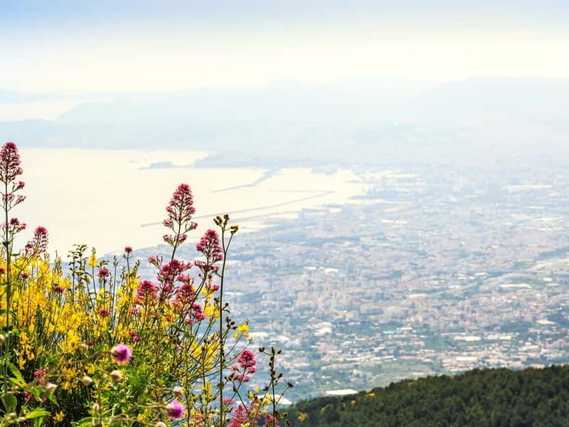 Pompeii-Herculaneum and Vesuvius Full-Day Tour - FAQs