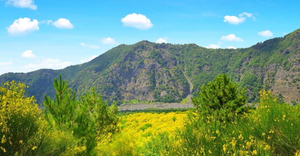 Pompeii, Herculaneum and Vesuvius Tour - Highlights of the Tour