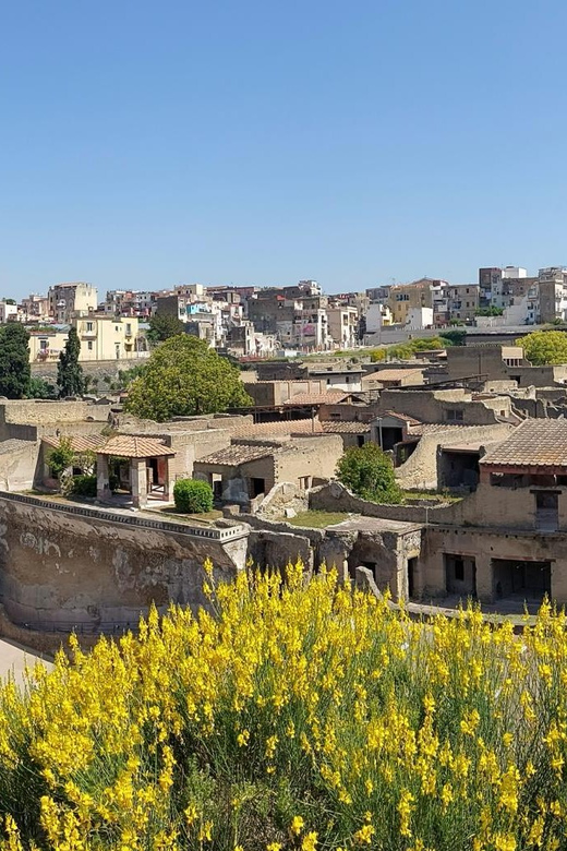 Pompeii & Herculaneum From Positano or Sorrento - Key Points