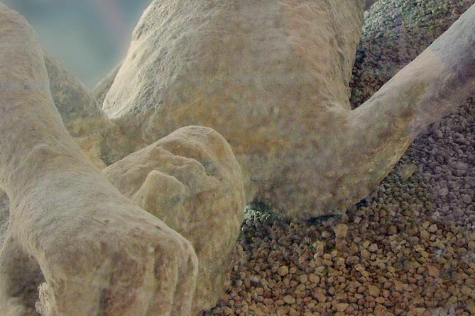 Pompeii & Herculaneum - Skip the Line From Sorrento - Health and Accessibility Information