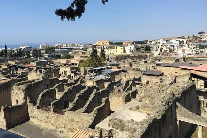 Pompeii, Herculaneum & Wine Tour, with Licensed Guide included - An Introduction to the Tour