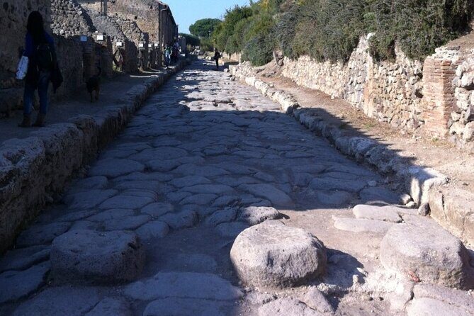 Pompeii, Herculaneum & Wine Tour, with Licensed Guide included - Value for Money and Final Thoughts