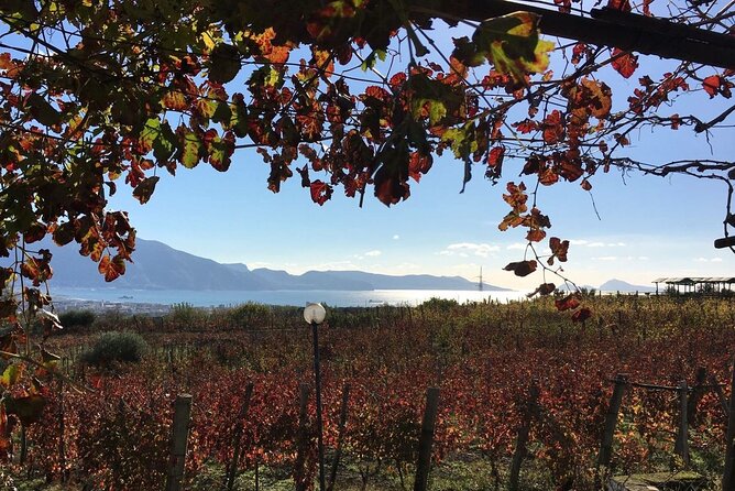 Pompeii, Mt Vesuvius and Wine Tour - Discovering Campanias History