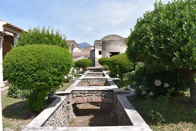 Pompeii Must-See Attractions Guided Tour With Skip-The-Line Access - Inquiries and Assistance