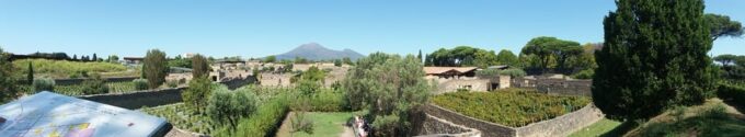 Pompeii No-Line Entrance Tickets With Audioguide - Uncovering Ancient Roman Life