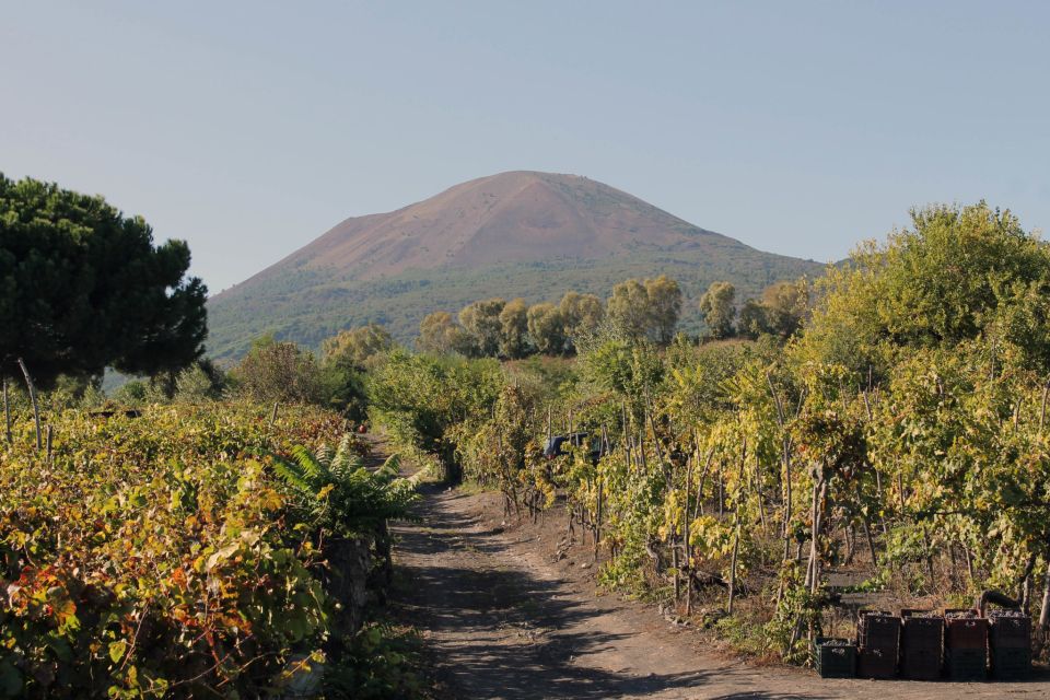 Pompeii Official Guide Private Tour and Vineyard Experience - Exploring Pompeii