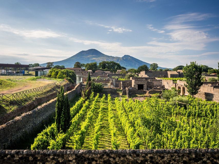 Pompeii Official Guide Private Tour and Vineyard Experience - Frequently Asked Questions