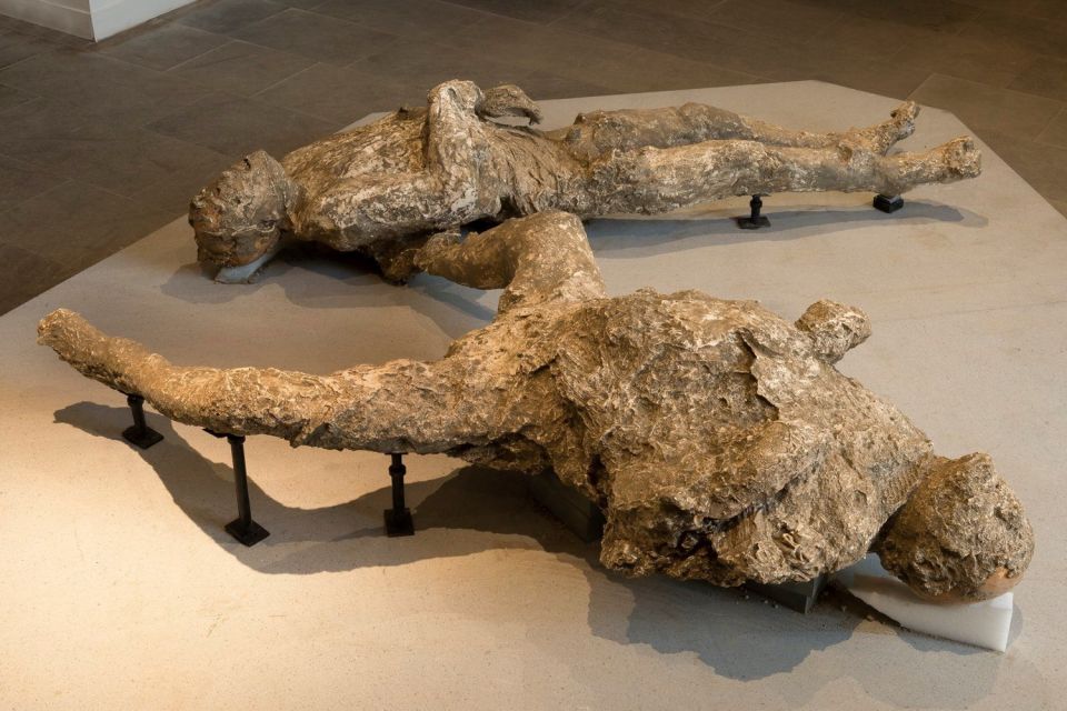 Pompeii: Private Guided Tour With an Archaeologist - Meeting Point and Accessibility