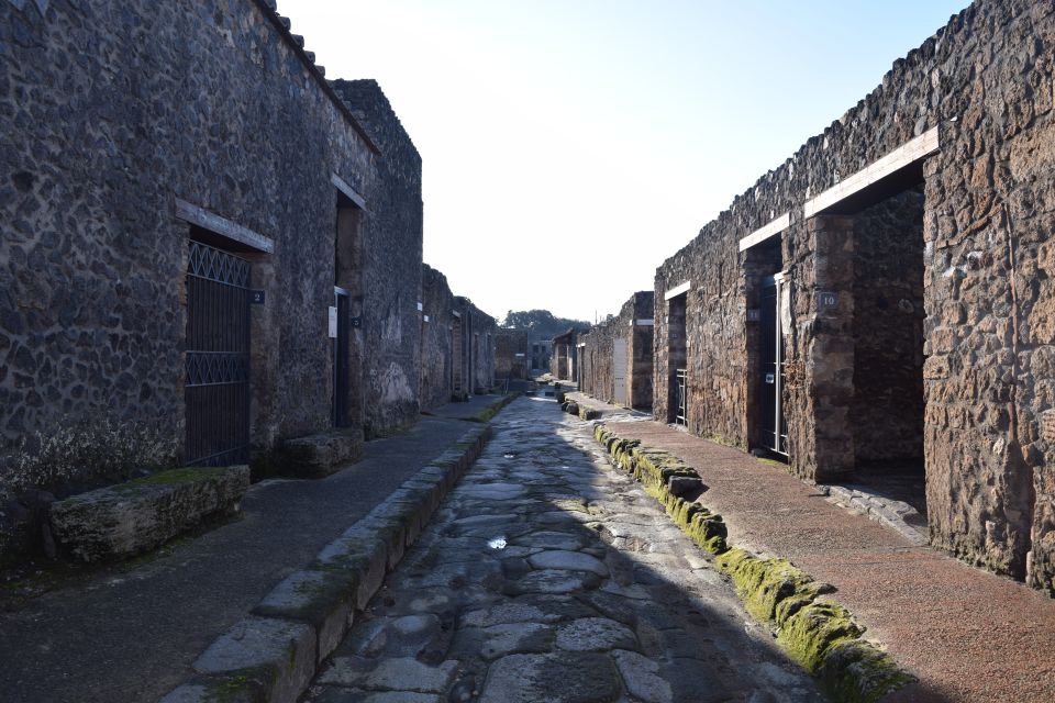 Pompeii: Private Guided Tour With Lunch - Parking and Access