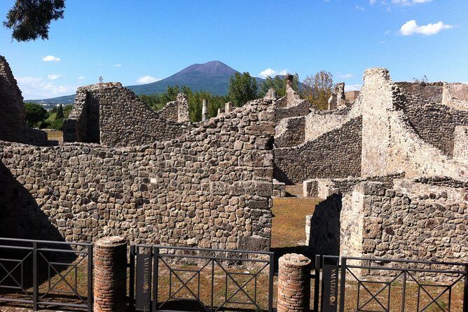 Pompeii Private Half-Day Tour from: Naples,Sorrento, Amalfi Coast - Authentic Experiences and Traveler Insights