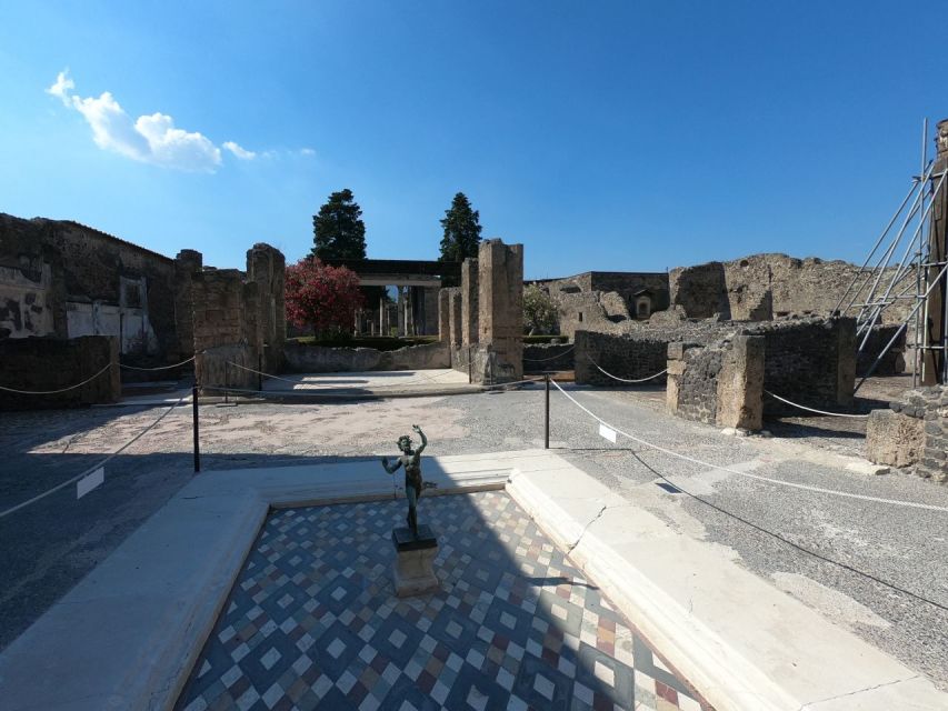 Pompeii: Private Tour With Local Guide Michele Arpa - Inclusions and Pricing