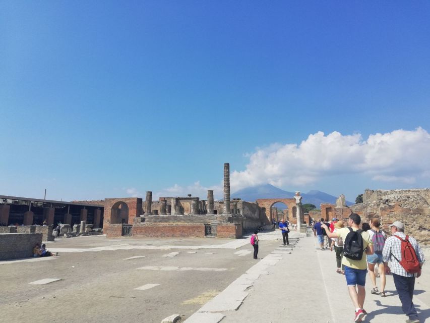 Pompeii: Private Tour With Local Guide Michele Arpa - Important Information