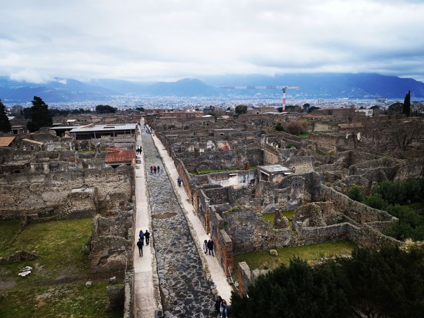 Pompeii: Private Tour With Local Guide Michele Arpa - Frequently Asked Questions