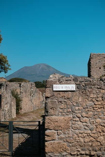 Pompeii: Private Tour with Wine Tasting and Lunch - Conclusions