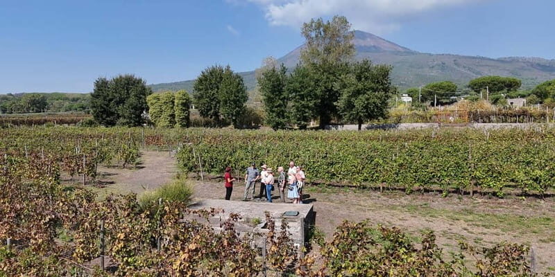 Pompeii: Private Tour with Wine Tasting and Lunch - FAQs