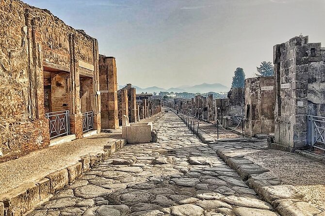 Pompeii Private Walking Tour With Expert and Authorized Guide - Tour Reviews