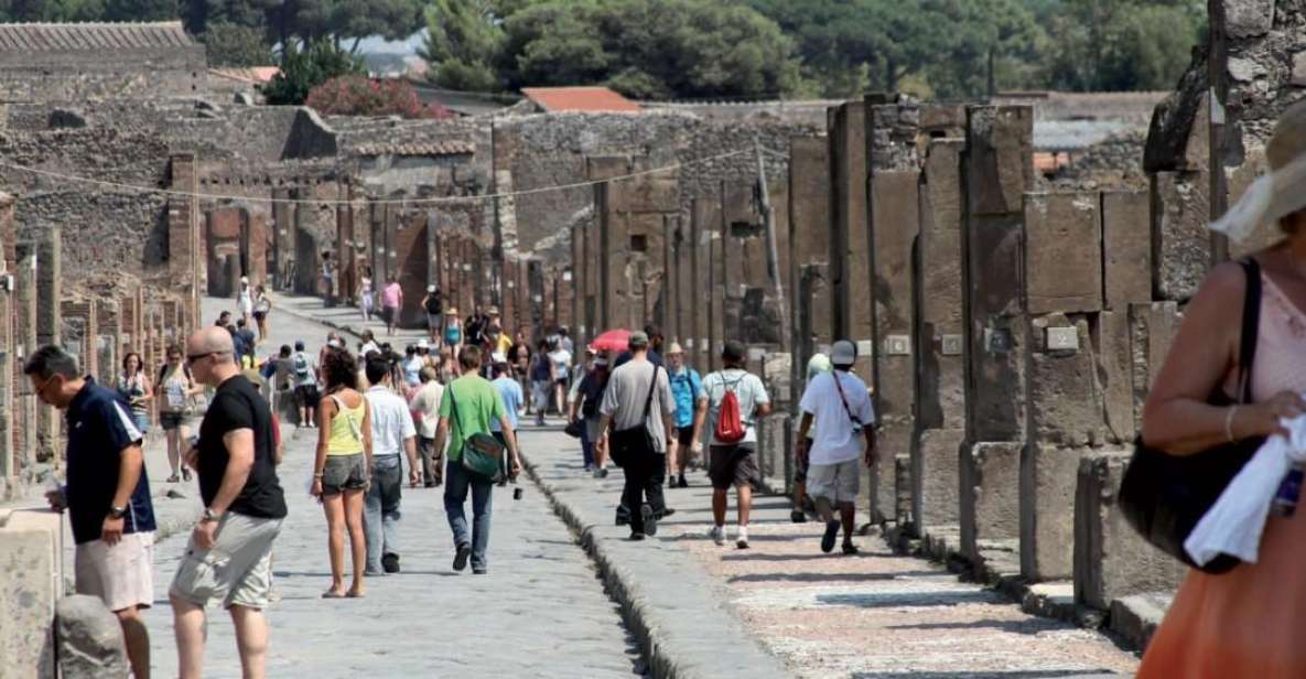 Pompeii Ruins and Wine Tasting Tour - Key Points