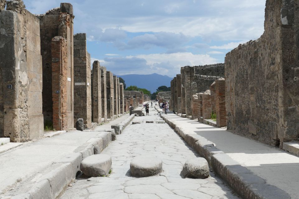 Pompeii Ruins and Wine Tasting Tour - Light Lunch and Tastings