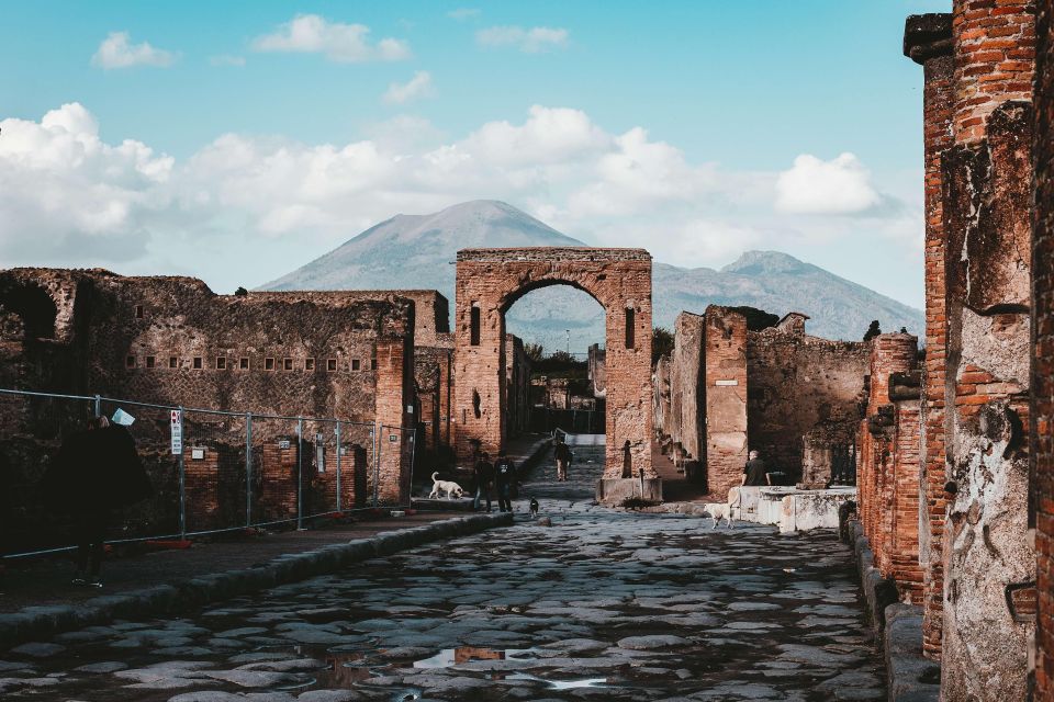 Pompeii Ruins and Wine Tasting Tour - Frequently Asked Questions
