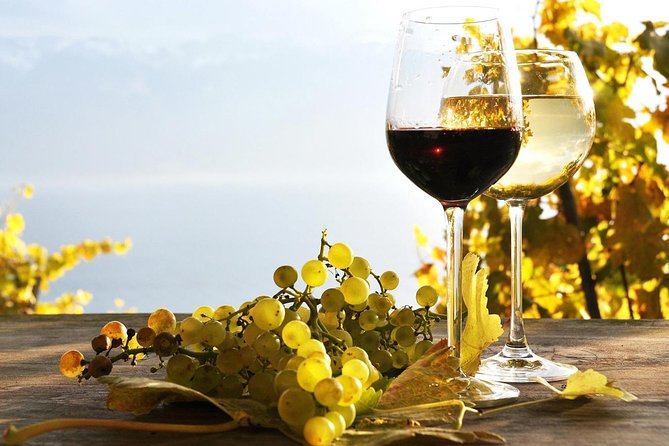 Pompeii Ruins and Wine Tour From Sorrento - Verified Guest Reviews