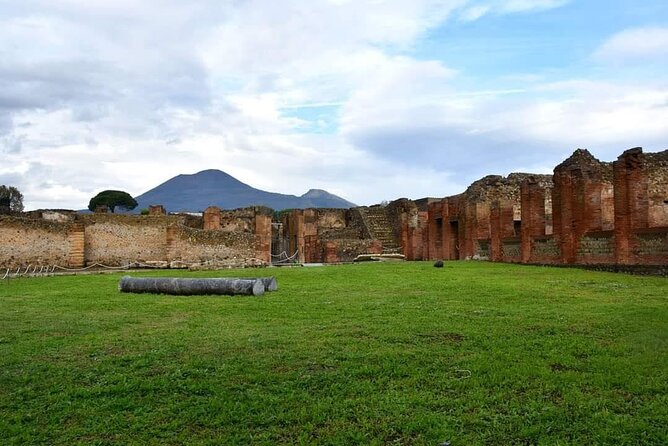 Pompeii Ruins and Wine Tour From Sorrento - Transportation and Comfort