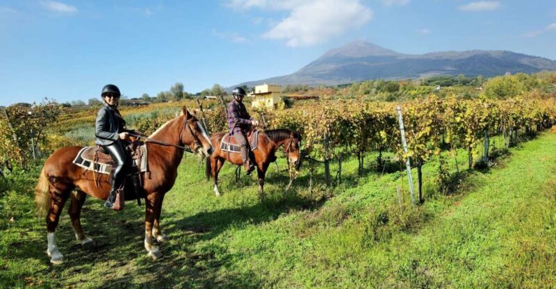 Pompeii: Ruins Tour and Mount Vesuvius Horseback Ride - Authenticity, Value, and Overall Impression