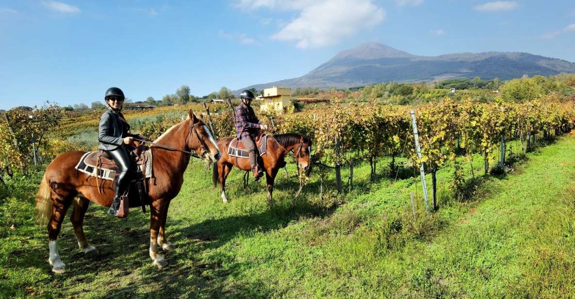 Pompeii: Ruins Tour and Mount Vesuvius Horseback Ride - Key Points