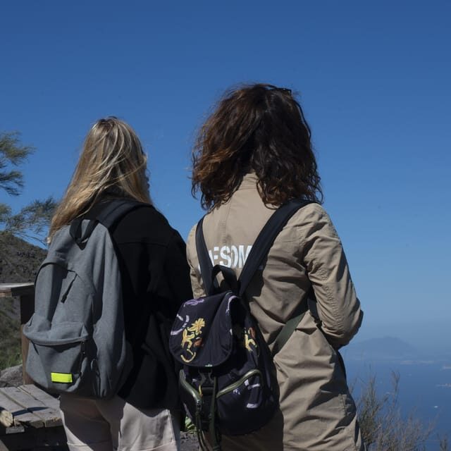 Pompeii Ruins & Vesuvius Full-Day Tour from Pompeii - An In-Depth Look at the Tour Experience