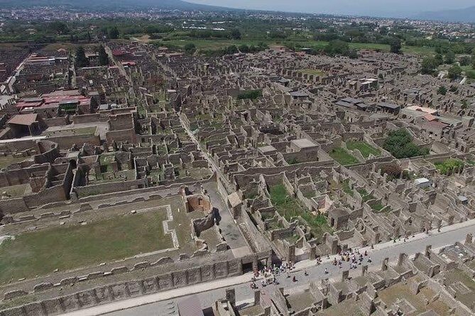 Pompeii Ruins visit for 3 hours (round-trip included) - Why Choose This Pompeii Tour?
