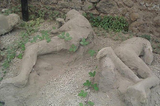 Pompeii Ruins visit for 3 hours (round-trip included) - Frequently Asked Questions