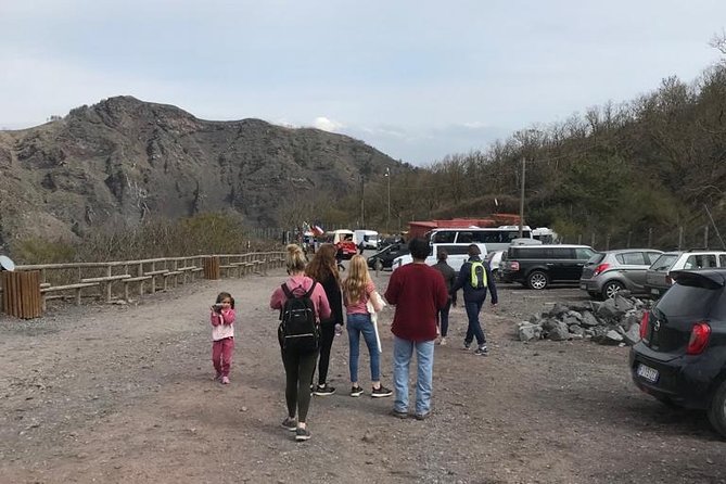 Pompeii Skip-The-Line and Mt Vesuvius With Lunch&Winetasting From Naples Port - Pricing and Cancellation Policy