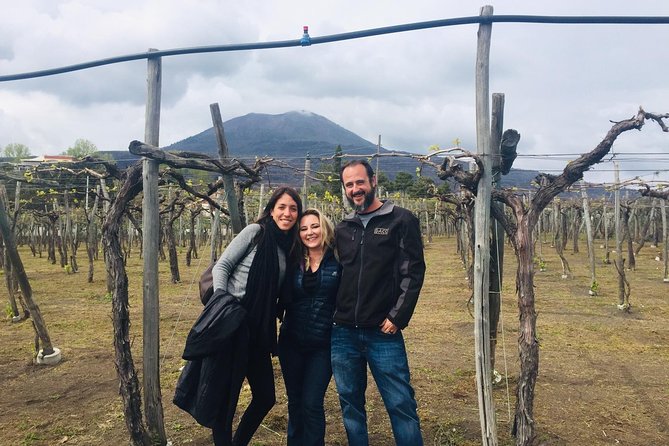 Pompeii Skip-The-Line and Mt Vesuvius With Lunch&Winetasting From Naples Port - Additional Considerations