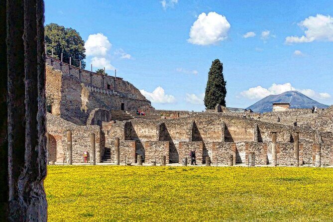 Pompeii Skip the Line Shared Group Tour - FAQ