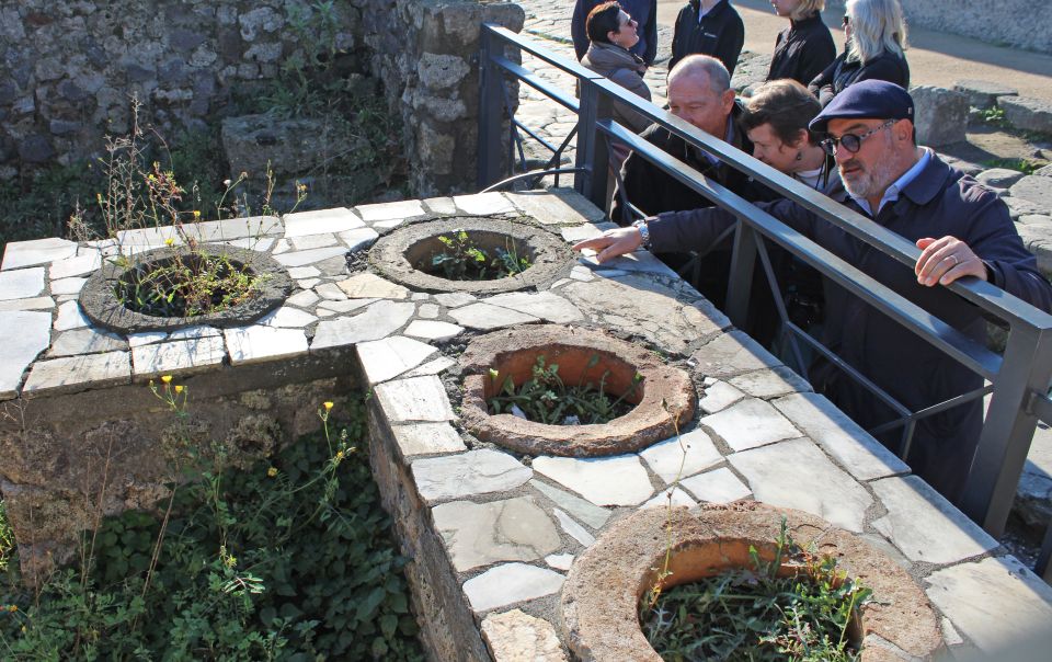 Pompeii: Skip-The-Line Tickets and Tour With Archaeologist - Tour Logistics