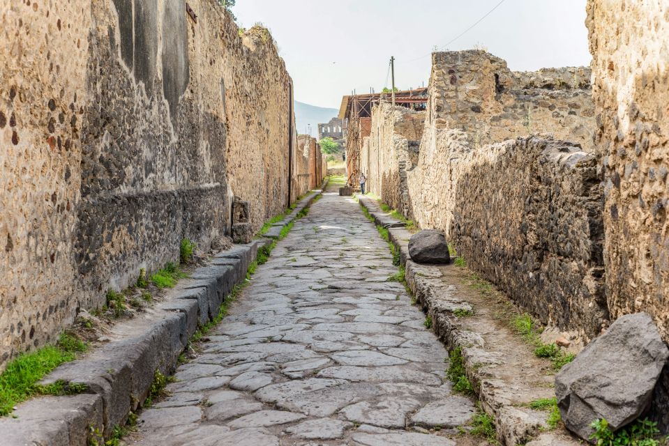 Pompeii: Small Group Tour With an Archaeologist - Accessibility and Restrictions