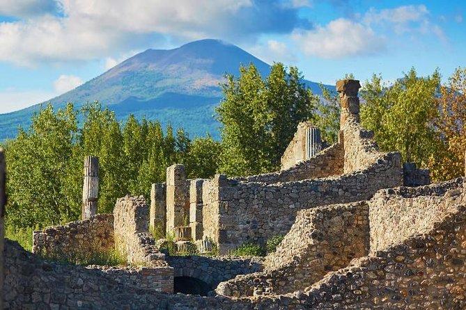 Pompeii, Sorrento and Amalfi Coast With Driver - Private Day Trip From Rome - Transportation Details