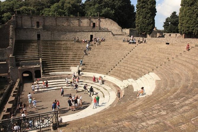 Pompeii, Sorrento and Amalfi Coast With Driver - Private Day Trip From Rome - Accessibility Features
