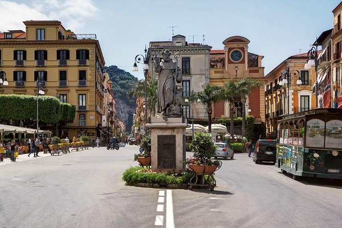 Pompeii, Sorrento and Amalfi Coast With Driver - Private Day Trip From Rome - Customer Reviews and Feedback