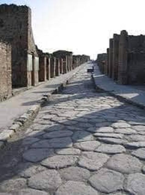 Pompeii Tour Guide Driver and Ticket - Key Points