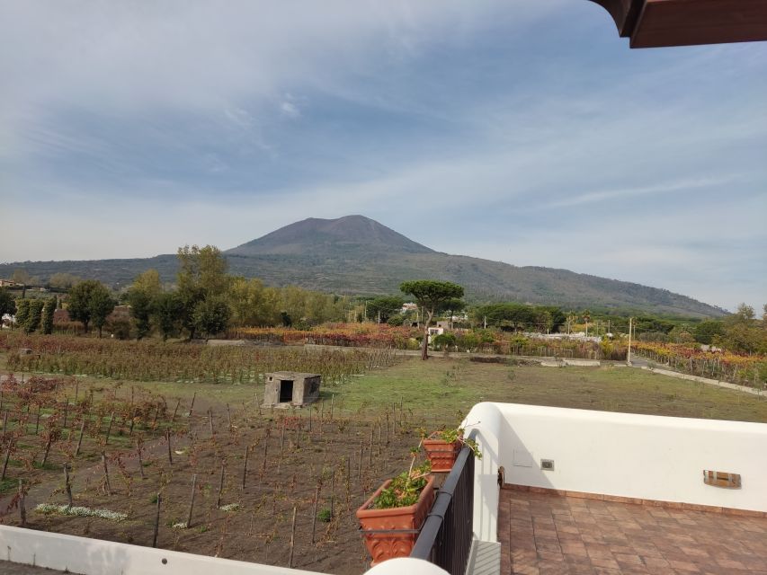 Pompeii Tour - Highlights