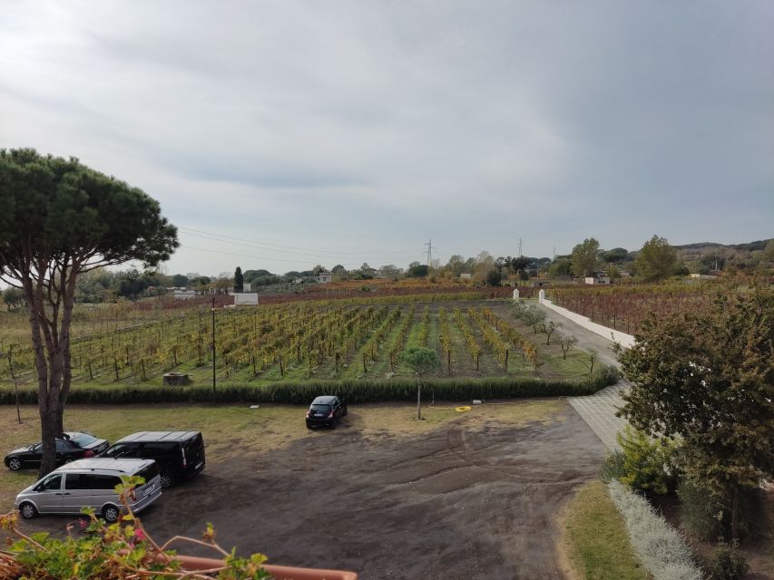 Pompeii Tour - Pricing