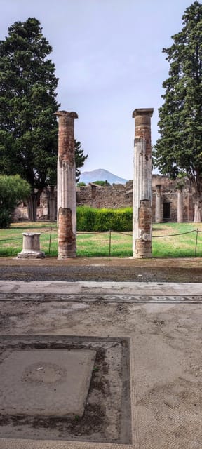 Pompeii Tour With Archaeological Expert and Lunch - Ask Away
