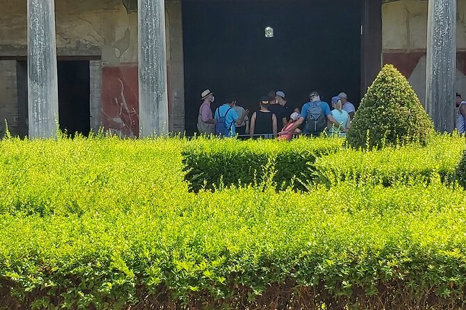 Pompeii Tour With Archaeologist - Traveler Reviews and Recommendations