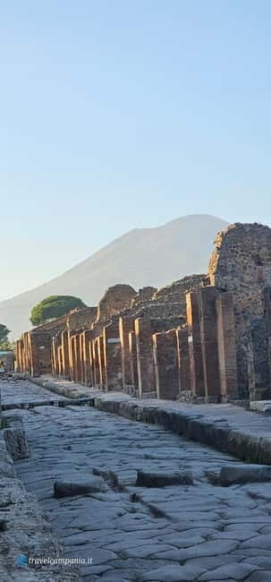 Pompeii: Tour with Archaeologist Guide & Skip-the-Line Entry - Who Should Consider This Tour?