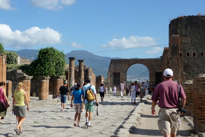 Pompeii Vesuvius Day Trip From Naples+Italian Light Lunch - Key Points