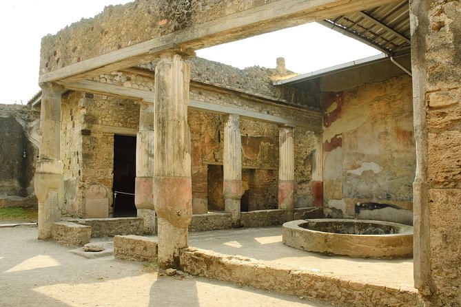 Pompeii, Vesuvius, Wine Tasting and Light Lunch All Inclusive - Highlights of the Tour