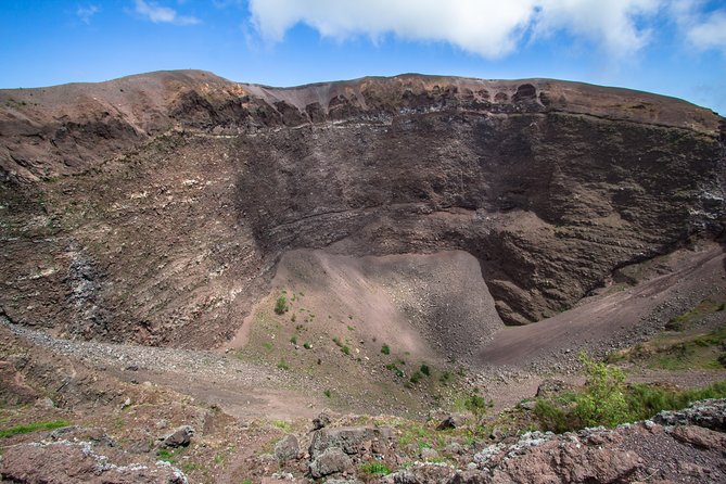 Pompeii, Vesuvius, Wine Tasting and Light Lunch All Inclusive - Reviews and Ratings